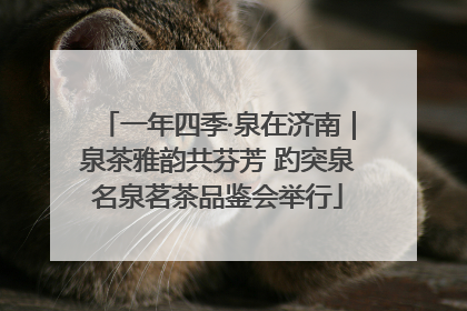 一年四季·泉在济南｜泉茶雅韵共芬芳 趵突泉名泉茗茶品鉴会举行